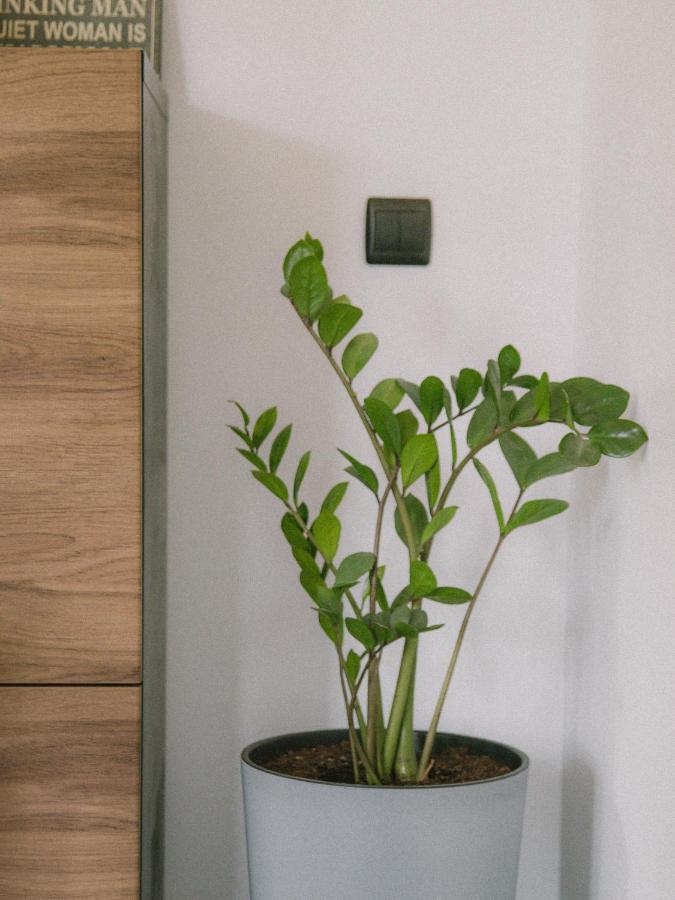 Willa Piwniczka Apartament Jahlowej Piwniczna-Zdroj Екстер'єр фото